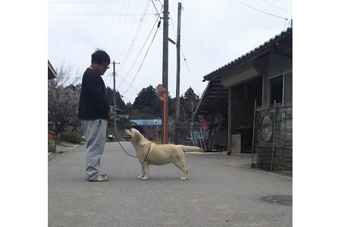 太田聖一ブリーダーの詳細